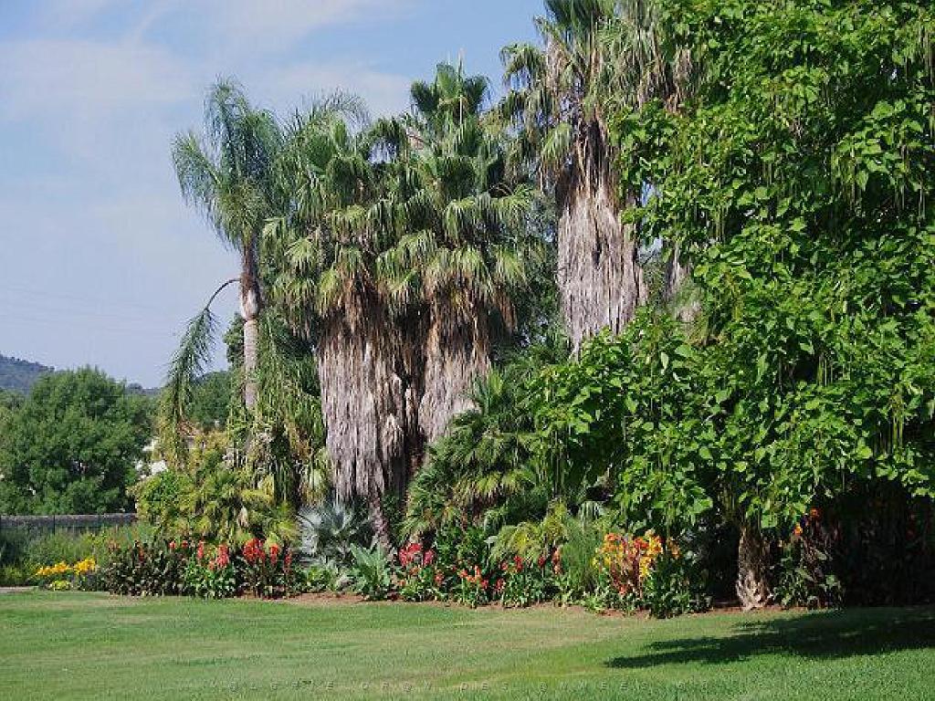 183 D35 PARC OLBIUS RIQUIER A HYERES_000059.jpg